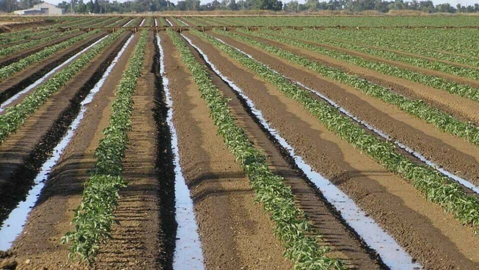 Suelo-e1495210512610-960x606|Captura de pantalla completa 2442016 201547